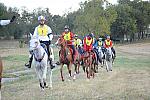 WEG1-9-26-10-Endurance-DSC_3239-DDeRosaPhoto.jpg