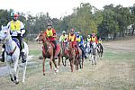 WEG1-9-26-10-Endurance-DSC_3240-DDeRosaPhoto.jpg