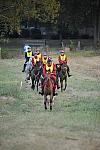 WEG1-9-26-10-Endurance-DSC_3499-DDeRosaPhoto.jpg