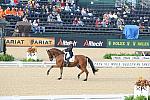 WEG1-9-28-10-DressageGP-5487-DDeRosaPhoto.jpg
