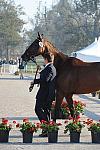 WEG1-9-29-10-EV_Jog-DSC_5242-DDeRosaPhoto.jpg