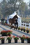 WEG1-9-29-10-EV_Jog-DSC_5243-DDeRosaPhoto.jpg
