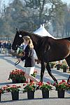 WEG1-9-29-10-EV_Jog-DSC_5249-DDeRosaPhoto.jpg
