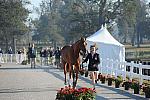 WEG1-9-29-10-EV_Jog-DSC_5256-DDeRosaPhoto.jpg