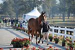 WEG1-9-29-10-EV_Jog-DSC_5257-DDeRosaPhoto.jpg