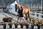 WEG1-9-29-10-EV_Jog-DSC_5258-DDeRosaPhoto.jpg