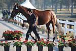 WEG1-9-29-10-EV_Jog-DSC_5275-DDeRosaPhoto.jpg