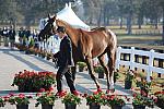 WEG1-9-29-10-EV_Jog-DSC_5279-DDeRosaPhoto.jpg