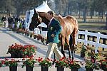 WEG1-9-29-10-EV_Jog-DSC_5285-DDeRosaPhoto.jpg