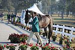 WEG1-9-29-10-EV_Jog-DSC_5293-DDeRosaPhoto.jpg