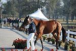 WEG1-9-29-10-EV_Jog-DSC_5306-DDeRosaPhoto.jpg
