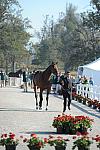 WEG1-9-29-10-EV_Jog-DSC_5382-DDeRosaPhoto.jpg
