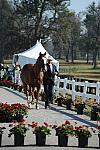 WEG1-9-29-10-EV_Jog-DSC_5457-NevilleBardos-BoydMartin-DDeRosaPhoto.jpg
