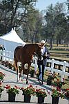 WEG1-9-29-10-EV_Jog-DSC_5463-NevilleBardos-BoydMartin-DDeRosaPhoto.jpg