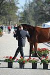 WEG1-9-29-10-EV_Jog-DSC_5478-DDeRosaPhoto.jpg