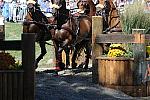 WEG4-10-9-10-DR-Marathon-0447-ChesterWeber-DDeRosaPhoto.jpg