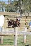 WEG4-10-9-10-DR-Marathon-0614-ChesterWeber-DDeRosaPhoto.jpg
