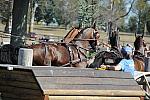 WEG4-10-9-10-DR-Marathon-0629-ChesterWeber-DDeRosaPhoto.jpg