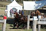 WEG4-10-9-10-DR-Marathon-0673-ChesterWeber-DDeRosaPhoto.jpg
