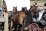 WEG4-10-9-10-DR-Marathon-0698-ChesterWeber-DDeRosaPhoto.jpg