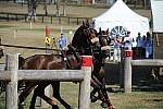 WEG4-10-9-10-DR-Marathon-0702-ChesterWeber-DDeRosaPhoto.jpg