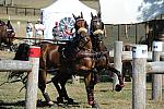 WEG4-10-9-10-DR-Marathon-0703-ChesterWeber-DDeRosaPhoto.jpg