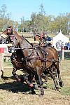 WEG4-10-9-10-DR-Marathon-0714-ChesterWeber-DDeRosaPhoto.jpg