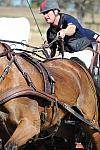 WEG4-10-9-10-DR-Marathon-0718-ChesterWeber-DDeRosaPhoto.jpg