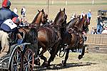 WEG4-10-9-10-DR-Marathon-0734-ChesterWeber-DDeRosaPhoto.jpg