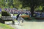 WEG2-10-2-10-EV-XX-5382-CourageousComet-RebeccaHolderosaPhoto.jpg