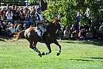 WEG2-10-2-10-EV-XX-3109-NevilleBardos-BoydMartin-DDeRosaPhoto.jpg