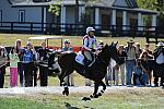 WEG2-10-2-10-EV-XX-4148-Gin-Juice-HawleyBennettAwad-DDeRosaPhoto.jpg