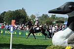 WEG2-10-2-10-EV-XX-4171-Gin-Juice-HawleyBennettAwad-DDeRosaPhoto.jpg