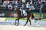 WEG1-10-1-10-1278-KarenOConnor-Mandiba-DDeRosaPhoto.jpg