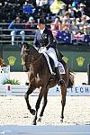 WEG1-10-1-10-1284-KarenOConnor-Mandiba-DDeRosaPhoto.jpg