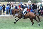 WEG2-10-2-10-EV-XX-5927-Woodburn-PhillipDutton-DDeRosaPhoto.jpg