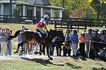 WEG2-10-2-10-EV-XX-4469-RiddleMaster-RebeccaHoward-DDeRosaPhoto.jpg