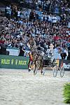 WEG1-9-25-10-DSC_2432-DDeRosaPhoto.JPG