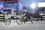 WEG1-9-25-10-Opening-WEG_1507-DDeRosaPhoto.JPG