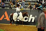 WEG2-9-30-10-RNG Finals-1226-TomMcCutcheon GunnersSpecialNite-DDeRosaPhoto