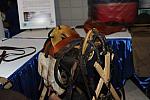 WIHS4-10-31-10-DSC_8913-DDeRosaPhoto.JPG