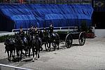 WIHS2-10-30-10-8511-DDeRosaPhoto.JPG