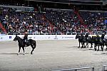 WIHS2-10-30-10-8515-DDeRosaPhoto.JPG