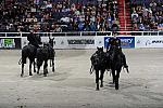 WIHS2-10-30-10-8519-DDeRosaPhoto.JPG