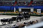 WIHS2-10-30-10-8526-DDeRosaPhoto.JPG