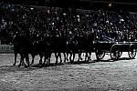 WIHS2-10-30-10-8587-DDeRosaPhoto.JPG