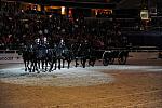 WIHS3-10-30-10-DSC_8352-DDeRosaPhoto.JPG
