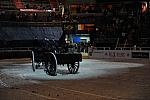 WIHS3-10-30-10-DSC_8359-DDeRosaPhoto.JPG
