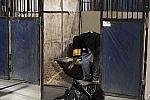 WIHS-10-24-10-Setup-0116-DDeRosaPhoto.jpg