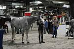 WIHS1-10-26-10- 7365-DDeRosaPhoto.JPG